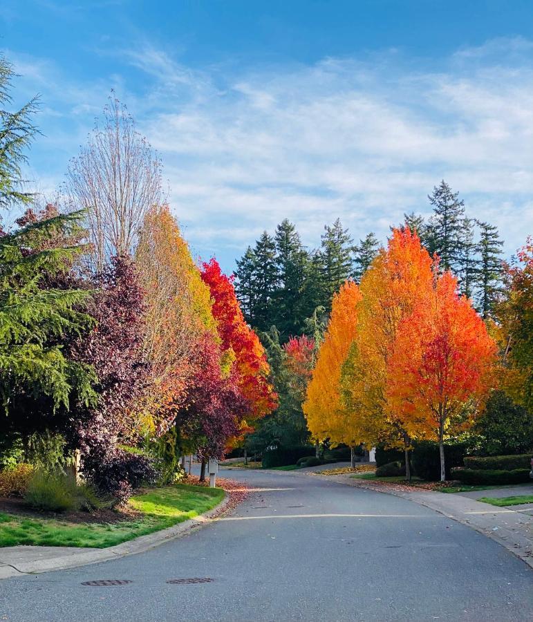 Apartamento Lucy'S Elegant & Cozy House Sammamish Exterior foto